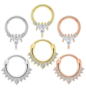 2Pcs 316L Surgical Steel Zircon Hinged Nose Ring Septum Clicker Daith Piercing Ear Cartilage Helix Hoop Flowers Water Drops