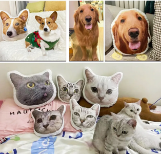Photo Custom Shape Pillow Case DIY Pet Cushion Toys Dolls Stuffed Animal Dog Cat Picture Pillow Customization Sofa Car Cushion