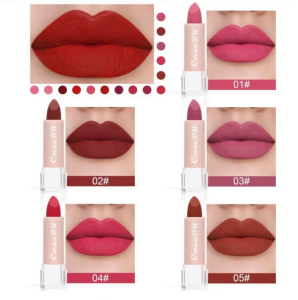 Makeup Long Lasting Matte Velvet Water Resistant Lip Stick Cosmetics