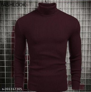 Stylish Fashionista Men Sweaters