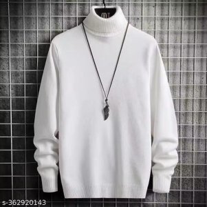 Fancy Fashionista Men Sweaters