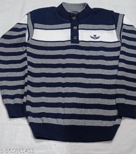 Trendy Graceful Men Sweaters