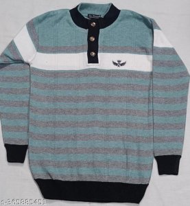 Trendy Graceful Men Sweaters