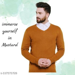 Classy Fashionista Men Sweaters