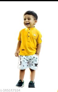 Princess Stylish Boys Top & Bottom Sets