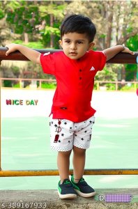 Princess Stylish Boys Top & Bottom Sets