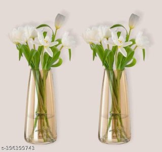 Elegant Vases