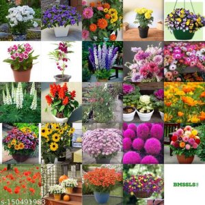 Unique Flowers