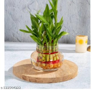 Classic Bamboo