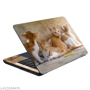 Unique Laptop Skins