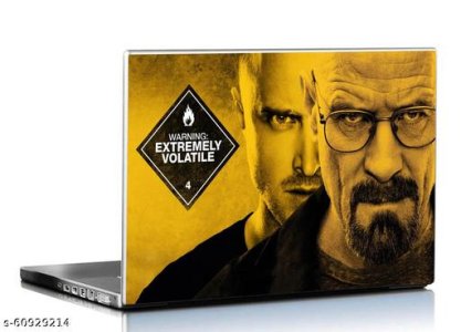 Fancy Laptop Skins